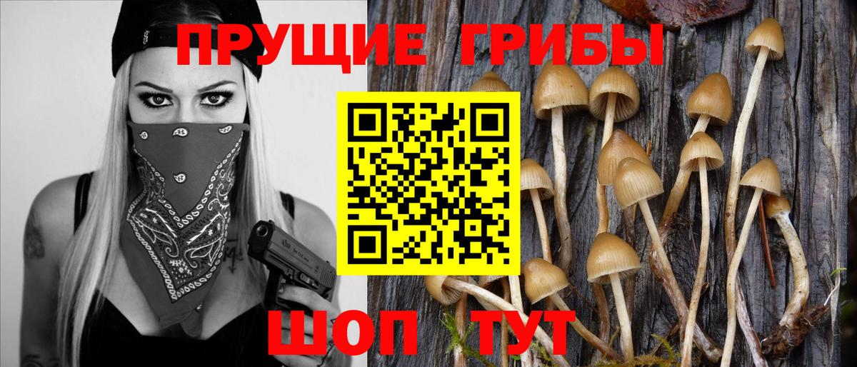 Галлюциногенные грибы ЛСД  Вход с VPN  Осинники 